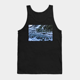 Bridge across Hooker River Tank Top